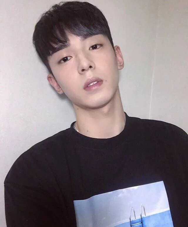 卞卿晶倩
