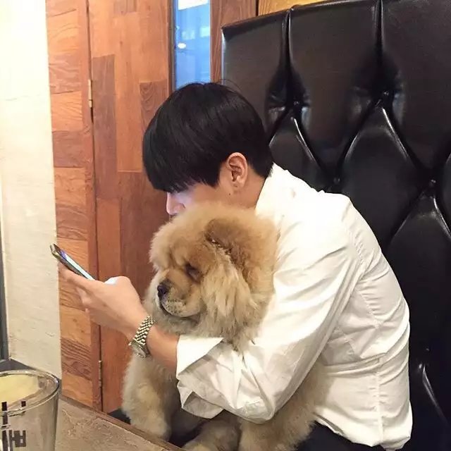 燕欣琛珊