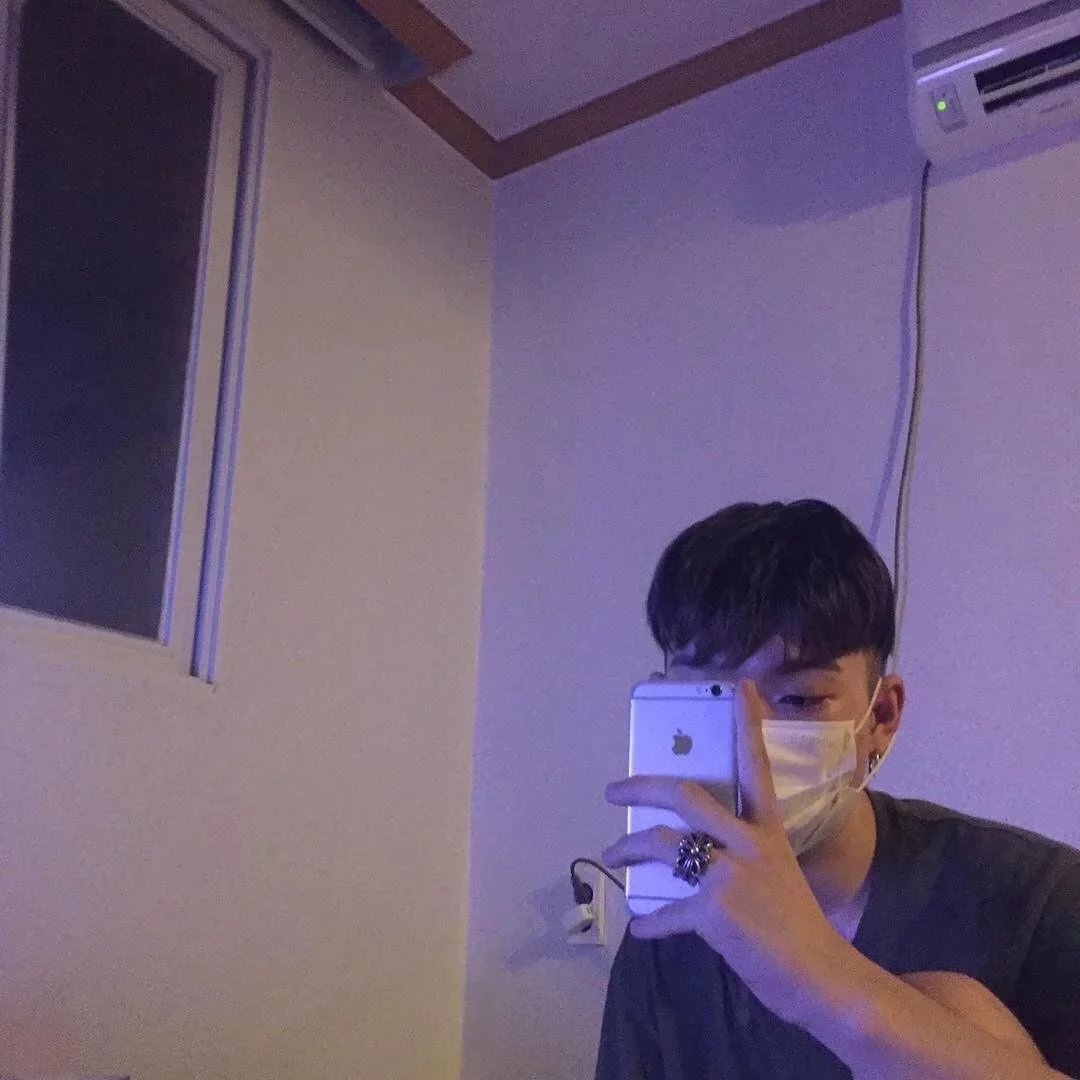 广燕晴羽