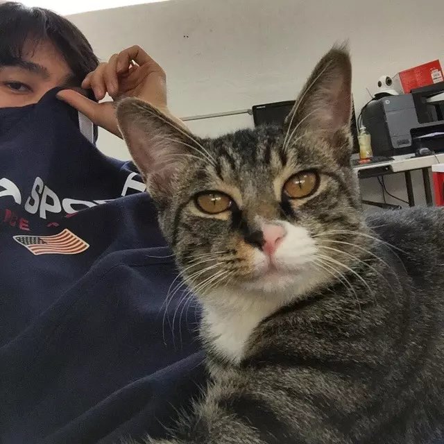 叶友健裕
