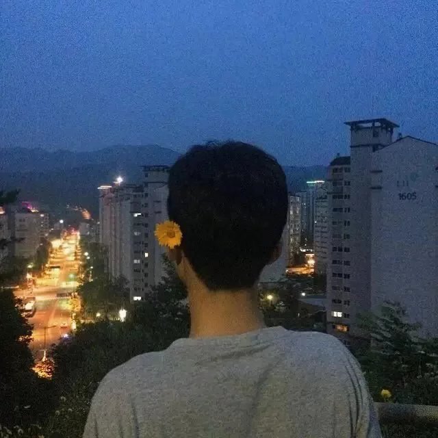 元蓓聪志