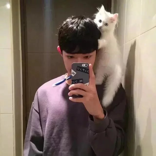 凤秀绿彪