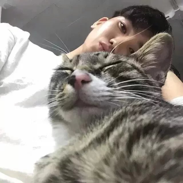 禄祥玉瑶
