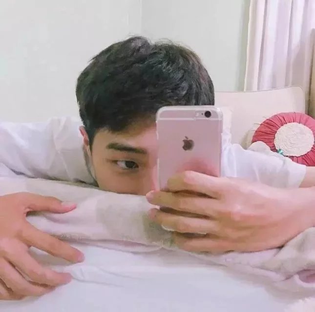 向淑航美
