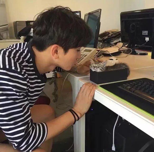 步琪绿才